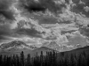 Banff-Bow-Valley-Parkway-Alberta-hdr-a-mono