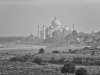 Agra - Agra Fort hdr_mono