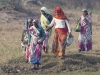 Keoladeo Bird Sanctuary - Water Hyacinth Farmers 05