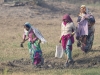 Keoladeo Bird Sanctuary - Water Hyacinth Farmers 08