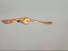 Barn Owl, Norfolk