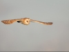 Barn Owl, Norfolk