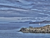 Ardnamurchan - from Mull