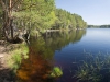 Loch Garten - Scotland