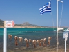 Antiparos - Agios Georgios