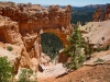 bryce-canyon-utah-032